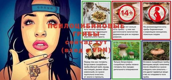 мдпв Пролетарск